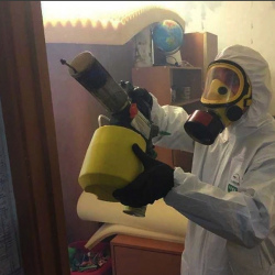 Уничтожение клопов в квартире. Юрьевец